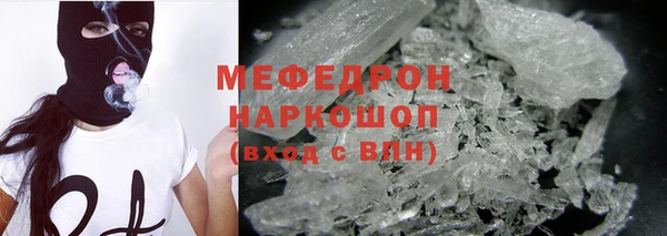 сатива Беломорск
