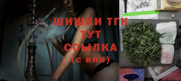 сатива Беломорск