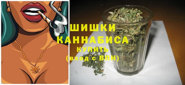 сатива Беломорск