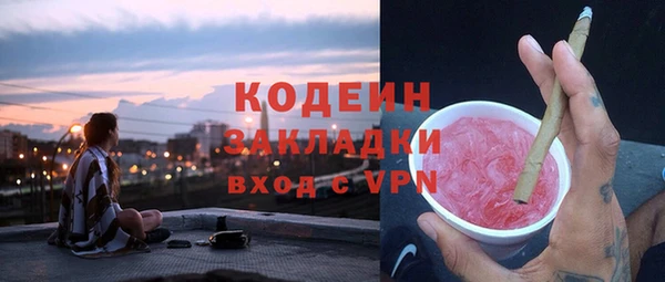 сатива Беломорск