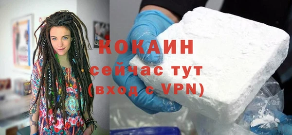 прущие грибы Богородицк