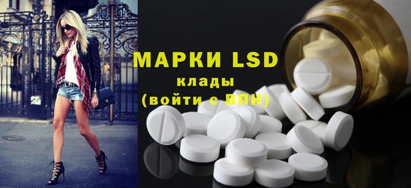 прущие грибы Богородицк